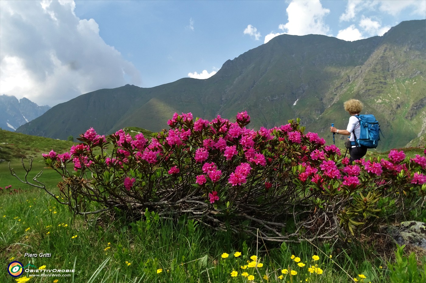 82 Tra distese di rododendri con vista in Cimone.JPG